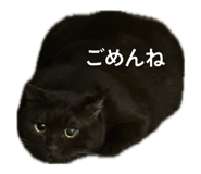 842977283