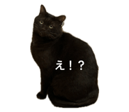 842977284