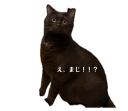 842977285