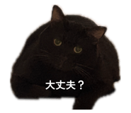 842977286
