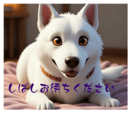 842977529