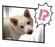 842977532