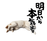 842977534