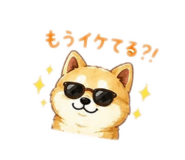 842977593