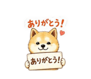 842977596