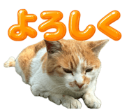 842977623