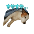 842978178