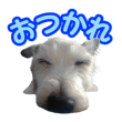 842978180