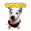 842978182
