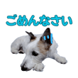 842978183