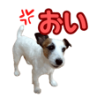 842978184