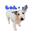 842978187