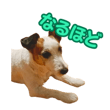 842978191