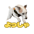 842978193