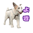 842978194
