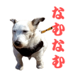 842978195