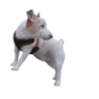 842978197