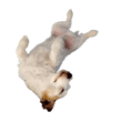 842978200