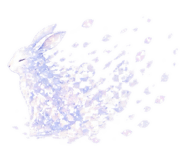 842978271