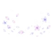 842978278