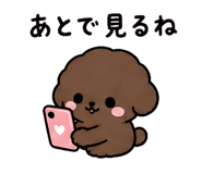 842978511