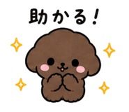 842978514