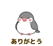 842978593