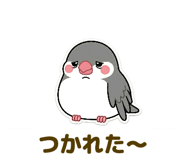 842978594