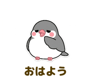 842978596