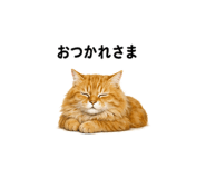 842978882