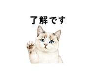 842978884