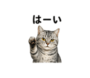 842978885