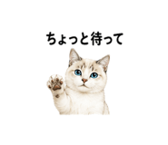 842978893