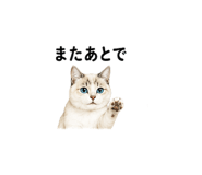 842978901