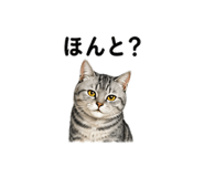 842978908