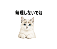 842978911