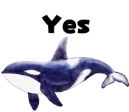 842978949