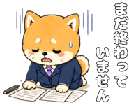 842978961
