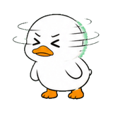 842979969