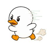 842979975