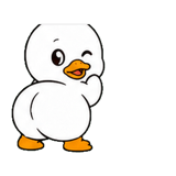 842979992