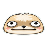 842980740