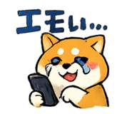 842981055