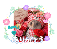 842981918