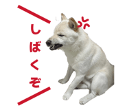 842982084