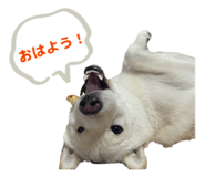 842982085
