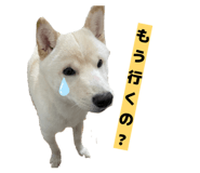 842982090
