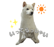 842982093
