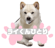 842982096