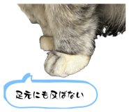 842982249